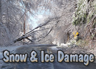 Yards By Us - Snow damaged tree services