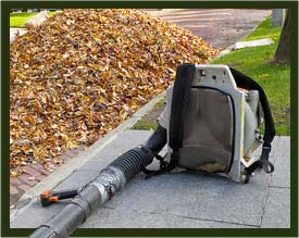Yards By Us leaf blowing and removal