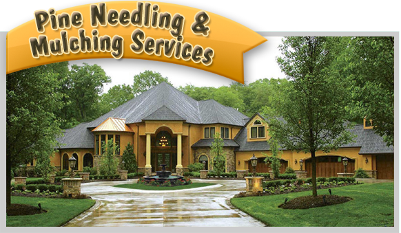 Yards By Us Pine Needling and Mulching service